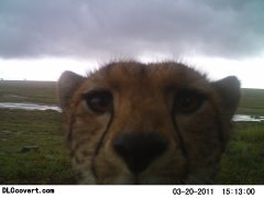 M2E48L164-165R393B309