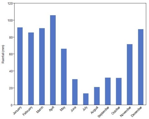 Rainfall graph