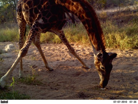 M2E53L205-204R371B323