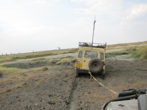 Step 1. Let's see if we can tow George out...