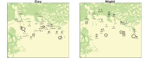 NightVDaylabeled