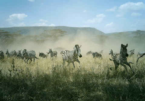 Screen shot 2013-07-22 at 11.41.06 AM (1)