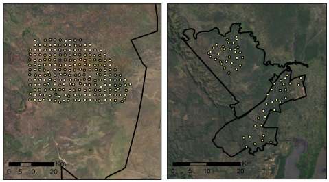Comparison of Serengeti (left) and Phinda/Mkhuze (right). 