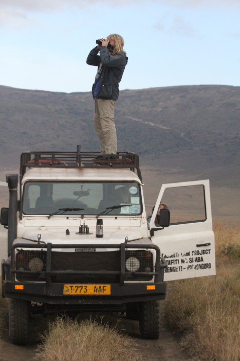 Ingela scanning for lions from the roof of the car.