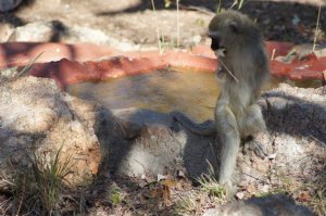 Photo courtesy of Tammy Keizer