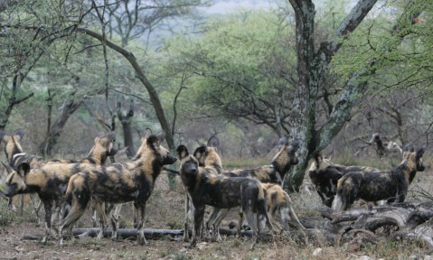 Photo by Ingela Jansson