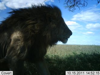 S3_L11_R11_ASG0008jkx_1