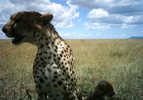 50c214e68a607540b90408ad_2