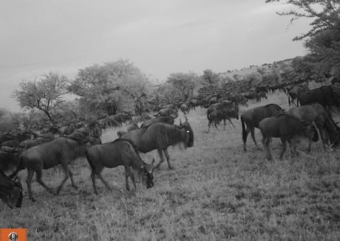 578757279eb3950040010cdd_0