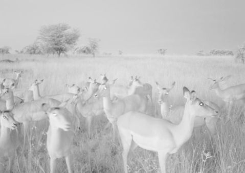 57875edd9eb395004006af67_0