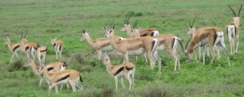 5144149140_35e79d6f19_b