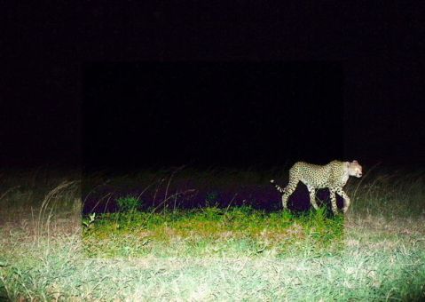 5859088cd369fd004000081b_0