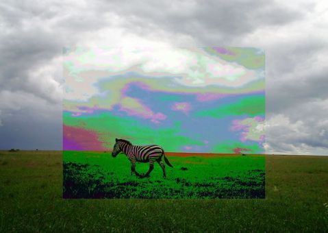 58591544d369fd00400729f3_0