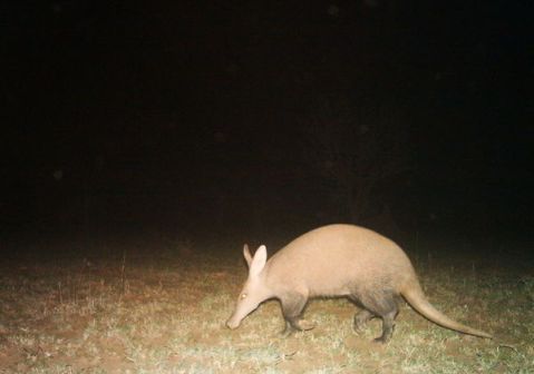 54cfd83787ee0404d5084f67_0