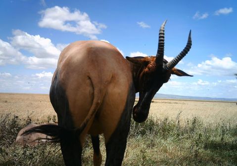 50c214228a607540b903692c_0