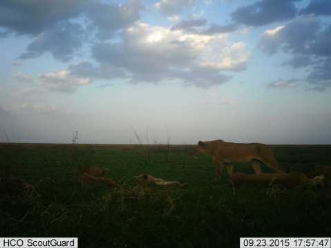 f703ac55-b40d-4bf2-95e4-4c9bc498031f